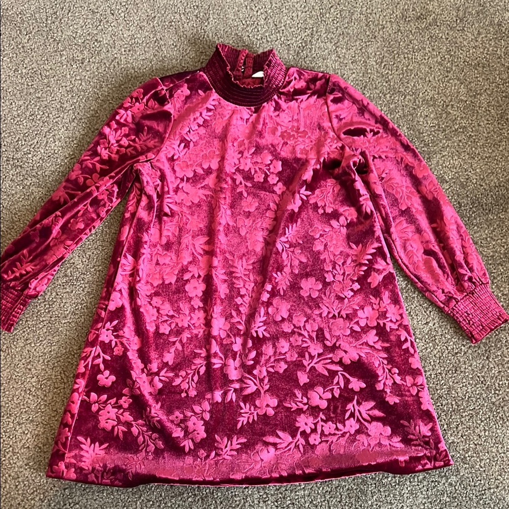 Matilda Jane Floral Velvet Dress 6